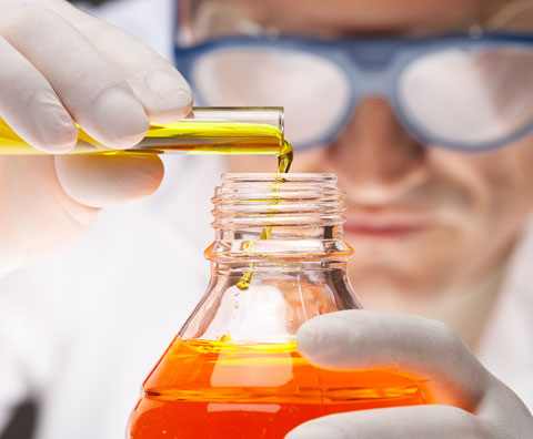 手机号轰在线网页版入口